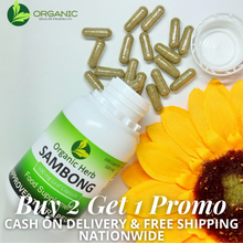 Load image into Gallery viewer, Sambong 500mg BUY 2 GET 1 PROMO (Organic Herb)