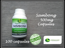 Load image into Gallery viewer, Sambong 500mg BUY 2 GET 1 PROMO (Organic Herb)
