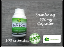 Load image into Gallery viewer, Sambong 500mg BUY 2 GET 1 PROMO (Organic Herb)