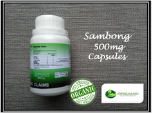 Load image into Gallery viewer, Sambong 500mg BUY 2 GET 1 PROMO (Organic Herb)