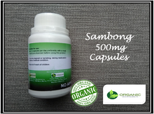 Load image into Gallery viewer, Sambong 500mg BUY 2 GET 1 PROMO (Organic Herb)
