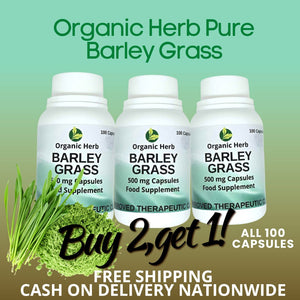 Organic Herb Pure Barley Grass Capsules 500mg (Buy 2 Take 1 Promo)