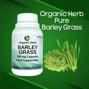 Organic Herb Pure Barley Grass Capsules 500mg (Buy 2 Take 1 Promo)