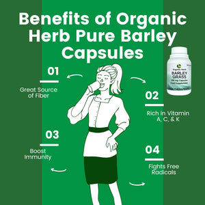 Organic Herb Pure Barley Grass Capsules 500mg (Buy 2 Take 1 Promo)