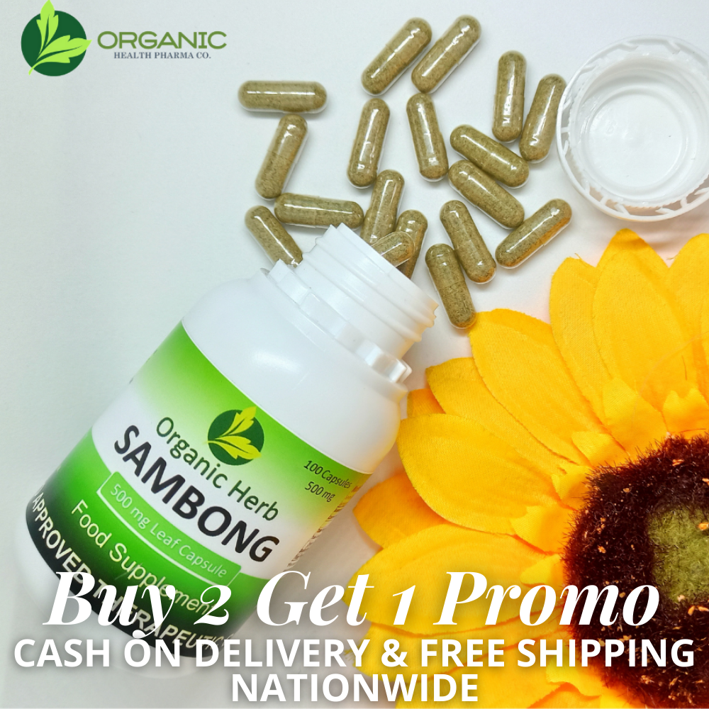 Sambong 500mg BUY 2 GET 1 PROMO (Organic Herb)