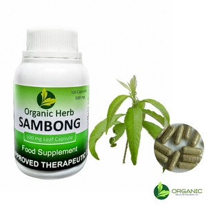 sambong capsules