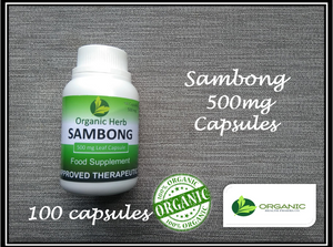 Sambong 500mg BUY 2 GET 1 PROMO (Organic Herb)