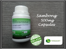 Load image into Gallery viewer, Sambong 500mg BUY 2 GET 1 PROMO (Organic Herb)
